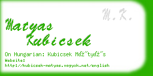 matyas kubicsek business card